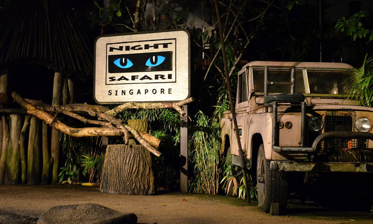 Night Safari